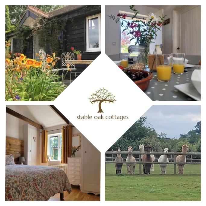 Willow Cottage In Idyllic Location Harrietsham Екстер'єр фото