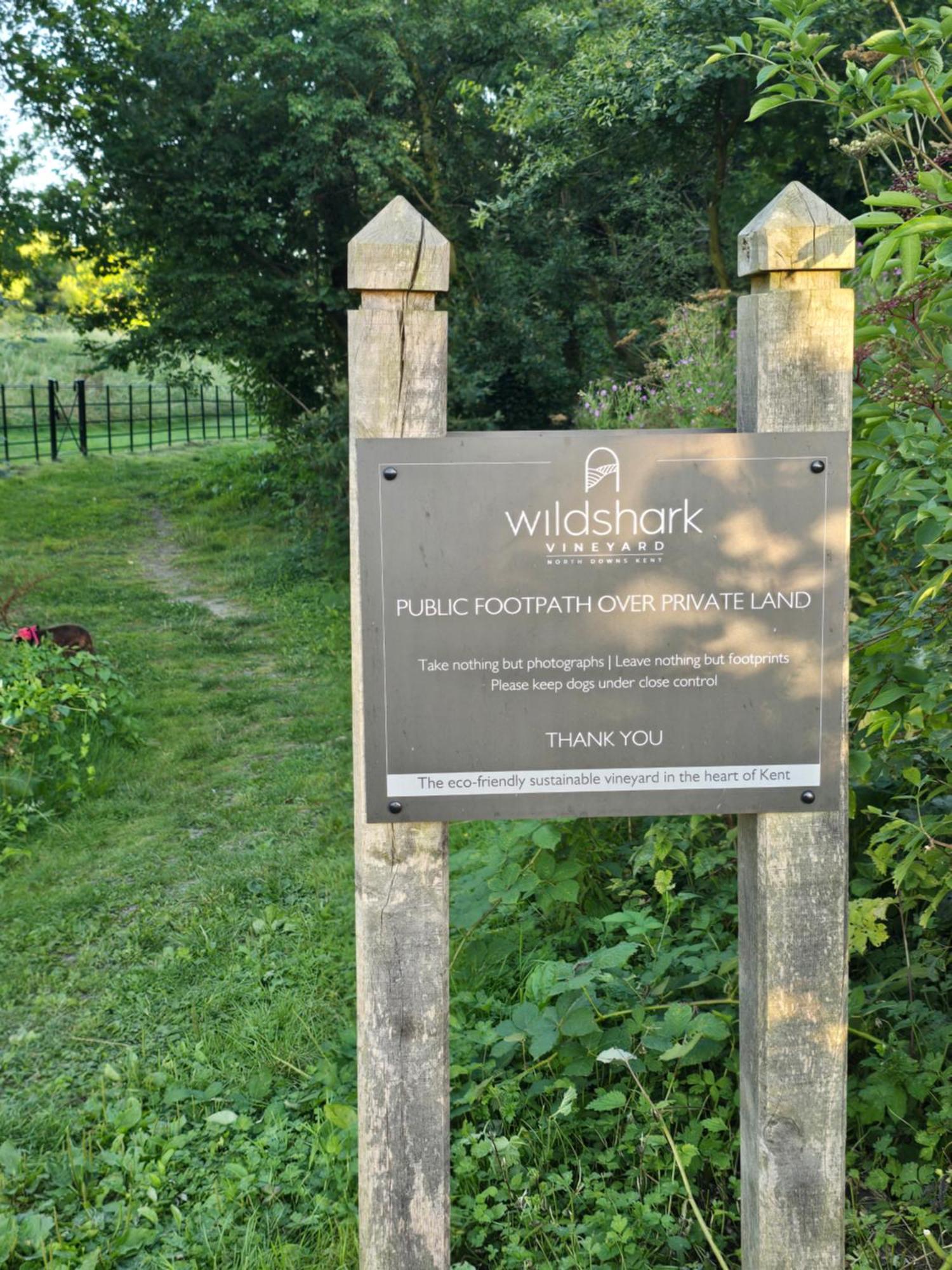 Willow Cottage In Idyllic Location Harrietsham Екстер'єр фото